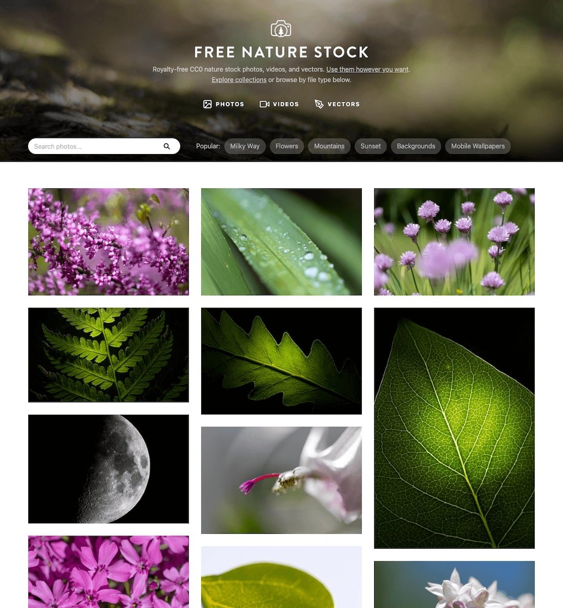 Free Nature Stock Photos