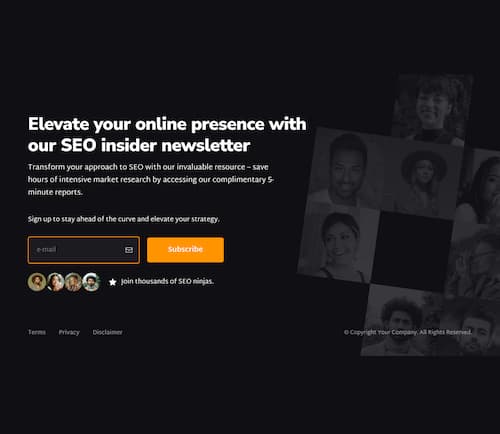 SEO Newsletter Landing Page