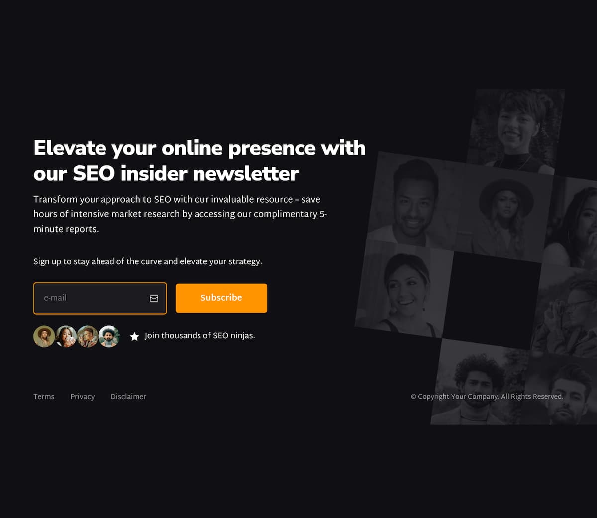 SEO Newsletter Landing Page