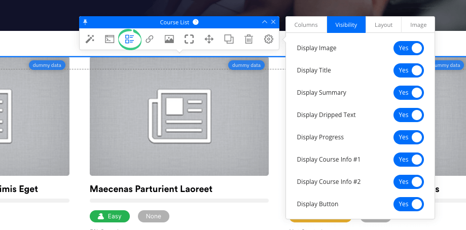 Course List Visibility Options