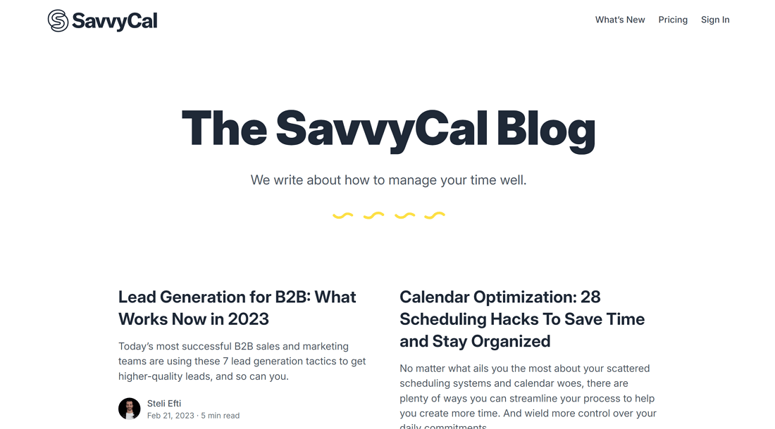 Savvycal - Best Blog Designs