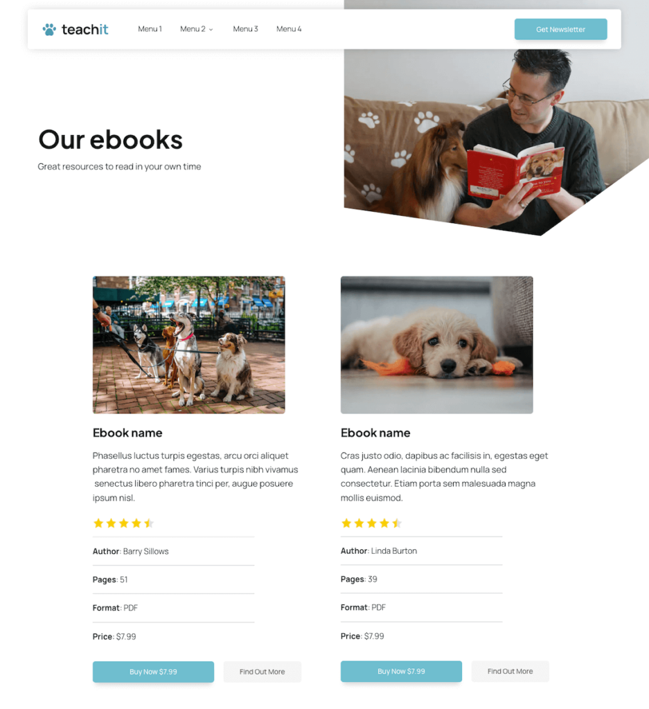 TeachIt Books Library Page