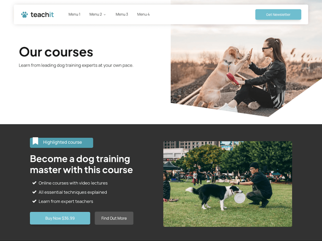 TeachIt Course List Page