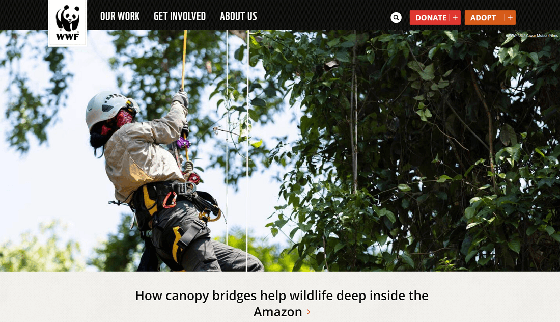 World Wildlife Fund - Above the fold website examples